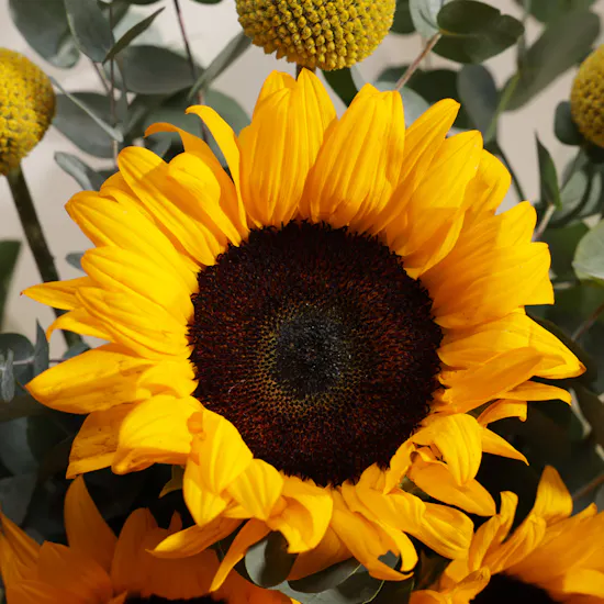 Warm Embrace Flower Bouquet