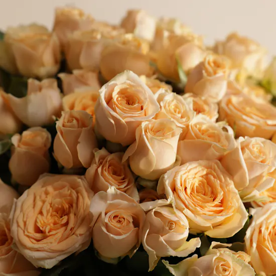 Le Chocolatier Dubai Baby Designed Chocolate Tray | Most Beautiful Moments Flowers