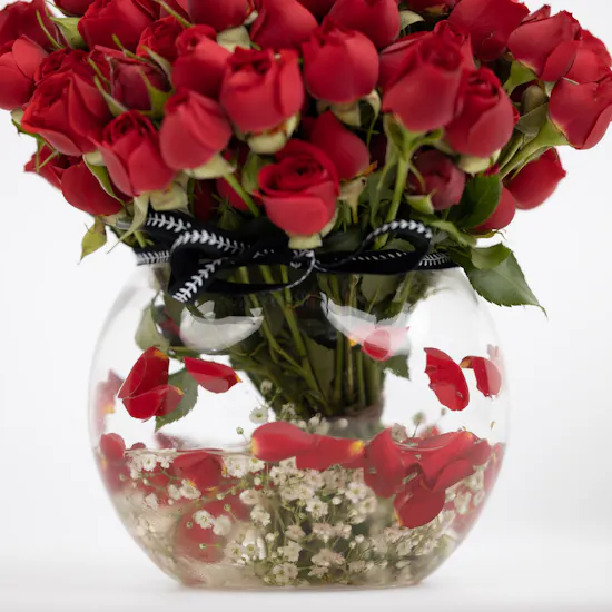 Adoration | 20 Baby Roses
