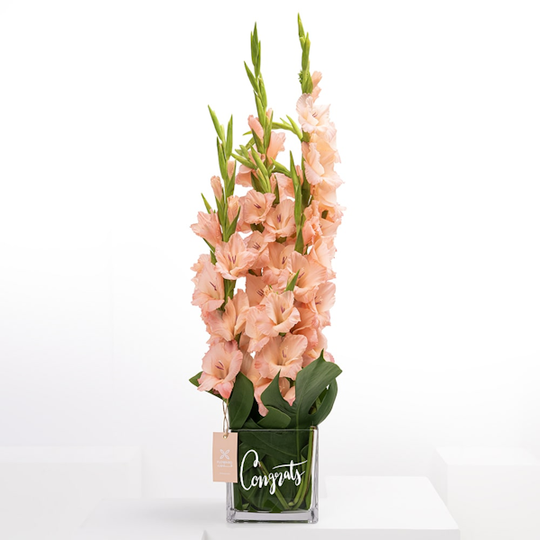  Gladiolus Vase