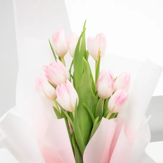 Tasneem Eshki Blue Agate Necklace | Pink Tulips
