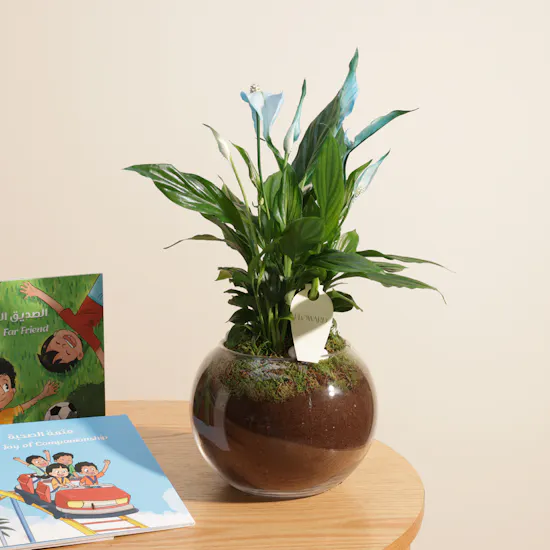 Az bin Fahad Ezz's Tales Series for Kids | Lovely Plant
