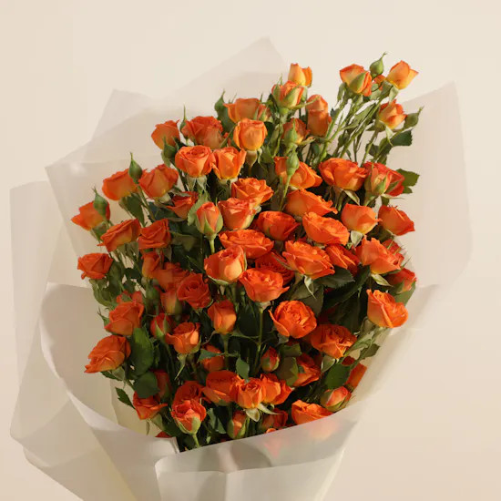 Bright Wishes Orange Baby Rose Bouquet | 25 Flowers