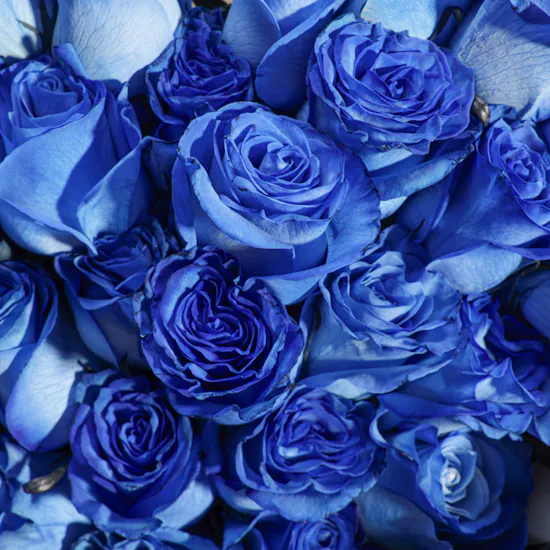 Shiny Blue Roses Bouquet