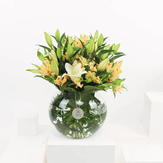 Beginning of Optimism | Vase