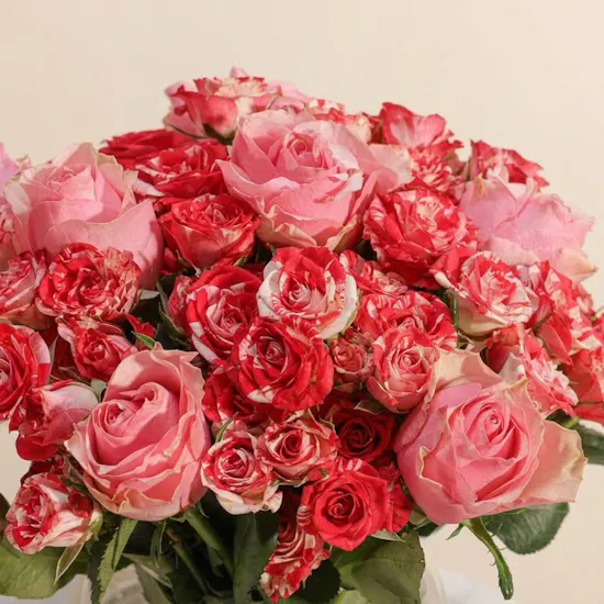 Mother Radiant Roses Vase