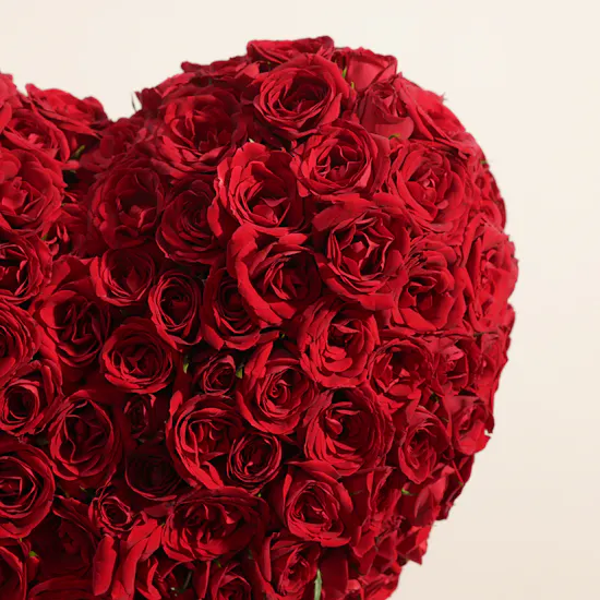Enchanting Red Baby Rose Heart