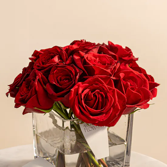 Pandora Moments Charm & Bracelet Set | Red Roses