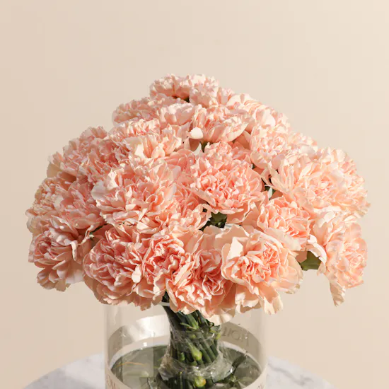 Vibrant Carnation Peach Vase