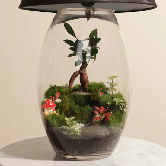 Nano Garden Closed Lamp Terrarium