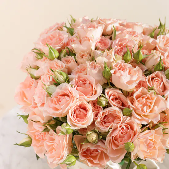 Blush Elegance Baby Roses Vase