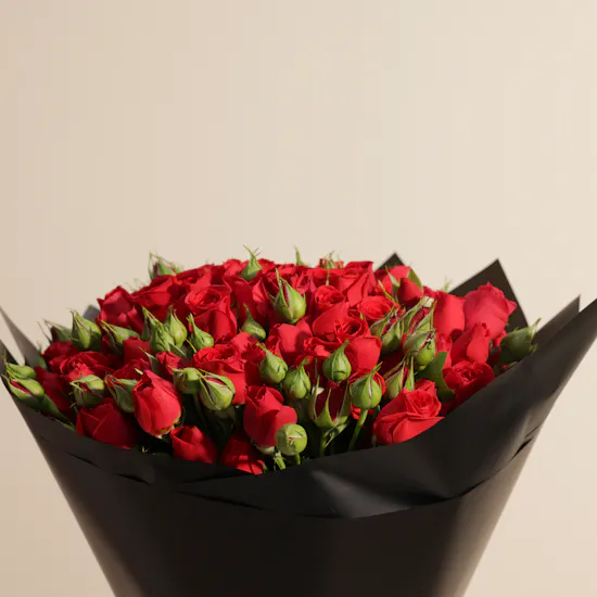 Majestic Red Bouquet | 25 Flowers