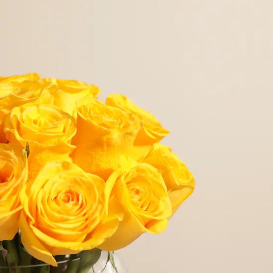 Golden Bliss Vase | 25 Roses