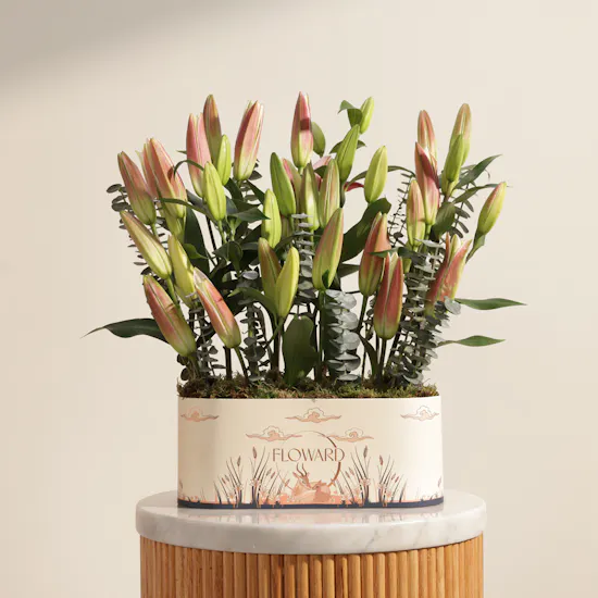 Serenity Pink and White Lily Box