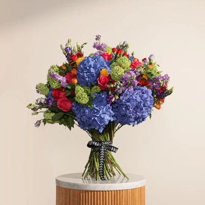 الحديقة الصغيره الحديقة الصغيره