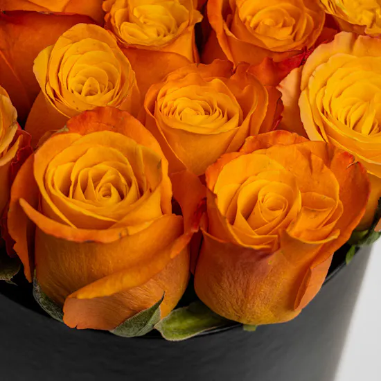 Fancy Bloom | Orange Roses