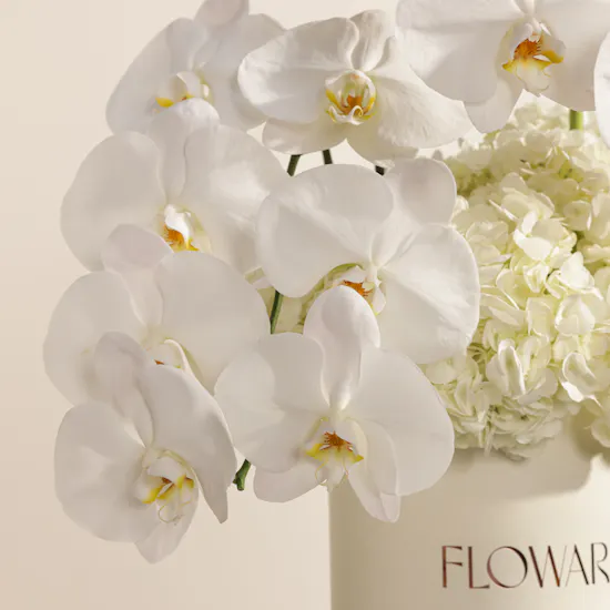 Elegant White Flowers Box