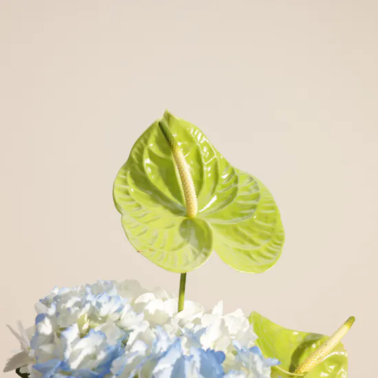 Fantastic Face Shaped Flower Vase