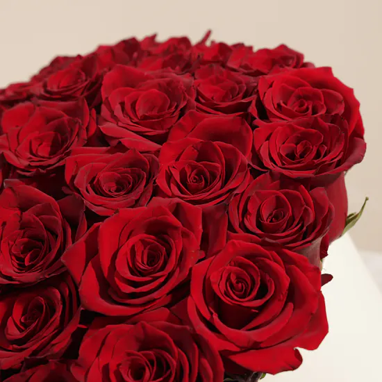 Romance Red Roses Box | 55 Flowers