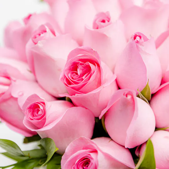 Stunning Roses Vase