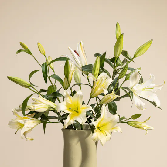 Nno Java White Lily Vase