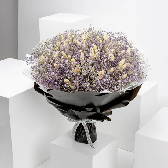 Purple Vibe | White Gypsophila