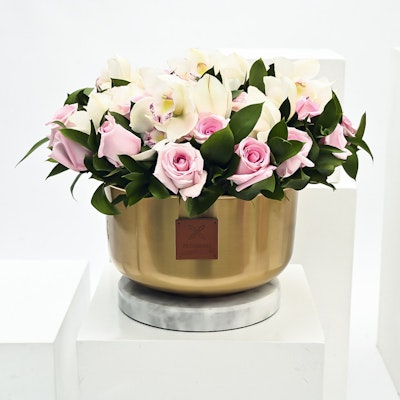 Innocent Beauty Vase