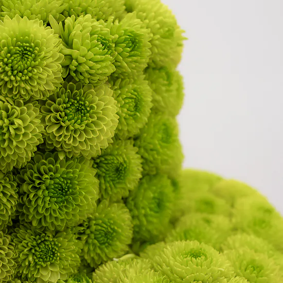 Vibrant Blooms Cake