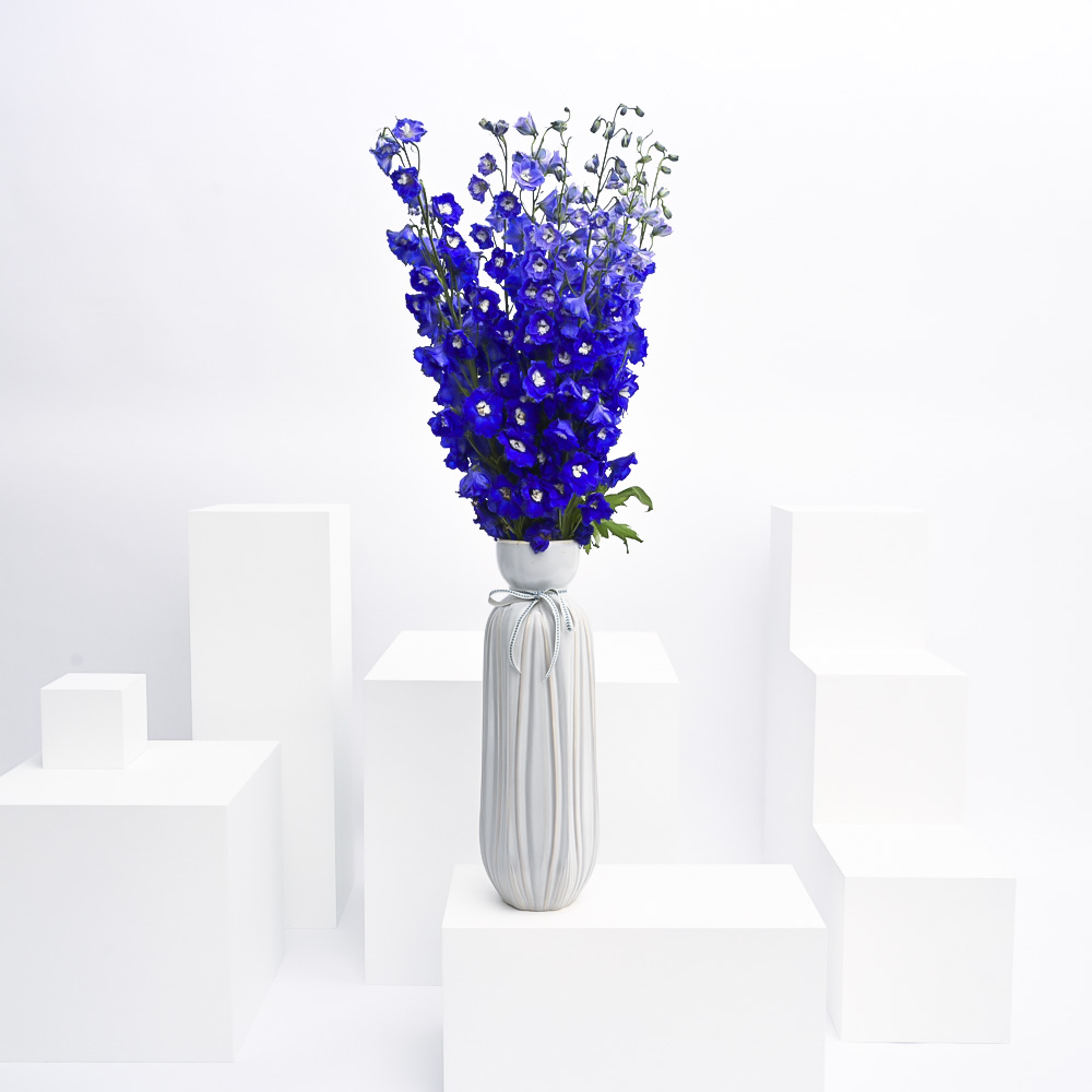 Delphiniums Vase
