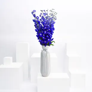 Delphiniums Vase