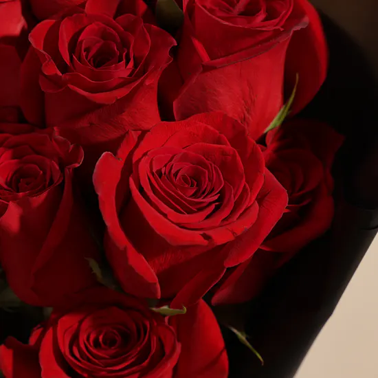 Red Signature Roses Bouquet | 15 Flowers
