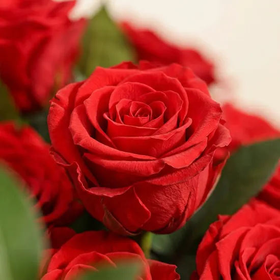 Lovely Heart Shape Rose Box