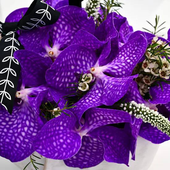 purple Graduation vase
