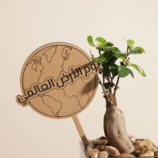 Stunning Japanese Ficus Ginseng Earth Day Plant