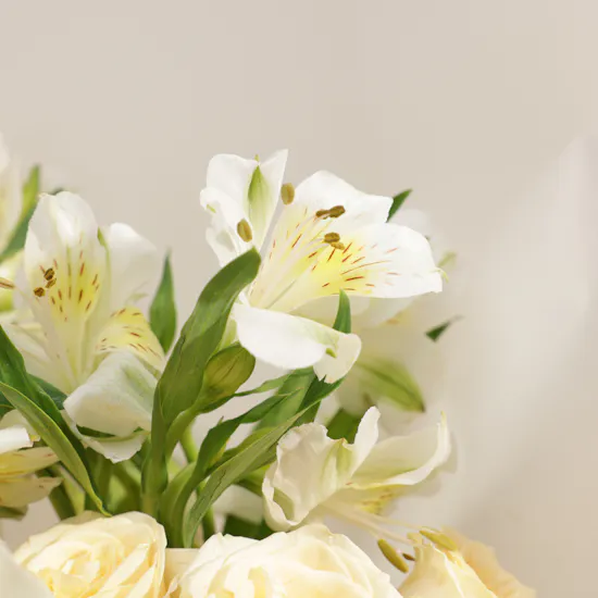 Sunlit Grace Emirati Women’s Day Roses Bouquet
