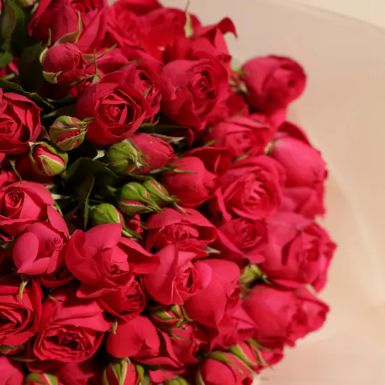 Blissful Baby Rose Bouquet | 12 Flowers