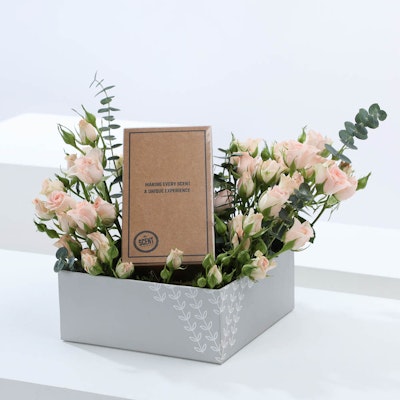 The Scent Perfume with Baby Roses