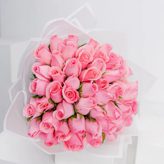 50 Revival Rose