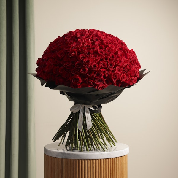 Red Roses Bouquet | 250 Flowers