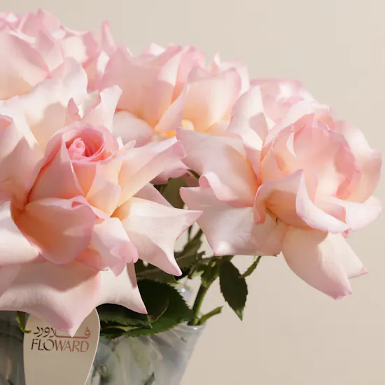 Delicate Roses Vase