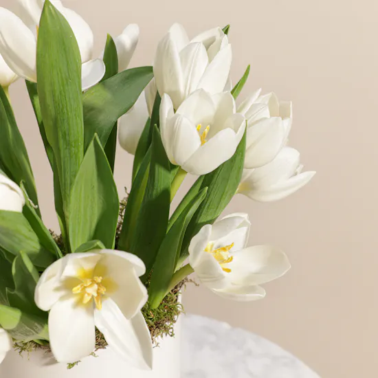 White Tulip Flowers Box