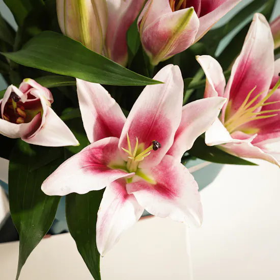Quiet Unveiling Flower Bouquet