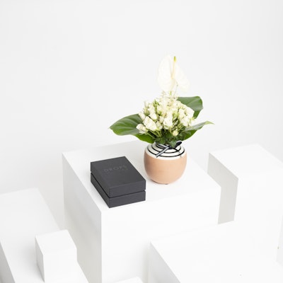 Flowers & Drops Perfume