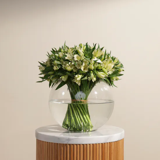 Pure Alstroemeria Vase