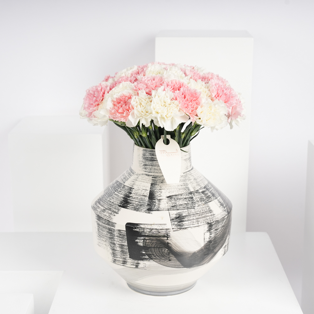 ازهار الكارنيشن