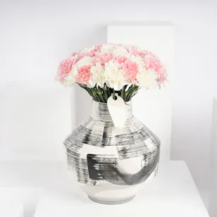 carnations flowers