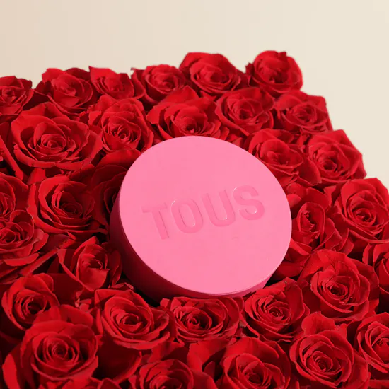 Tous My Other Half Short Two-Tone Heart Necklace | Crimson Love Rose Box