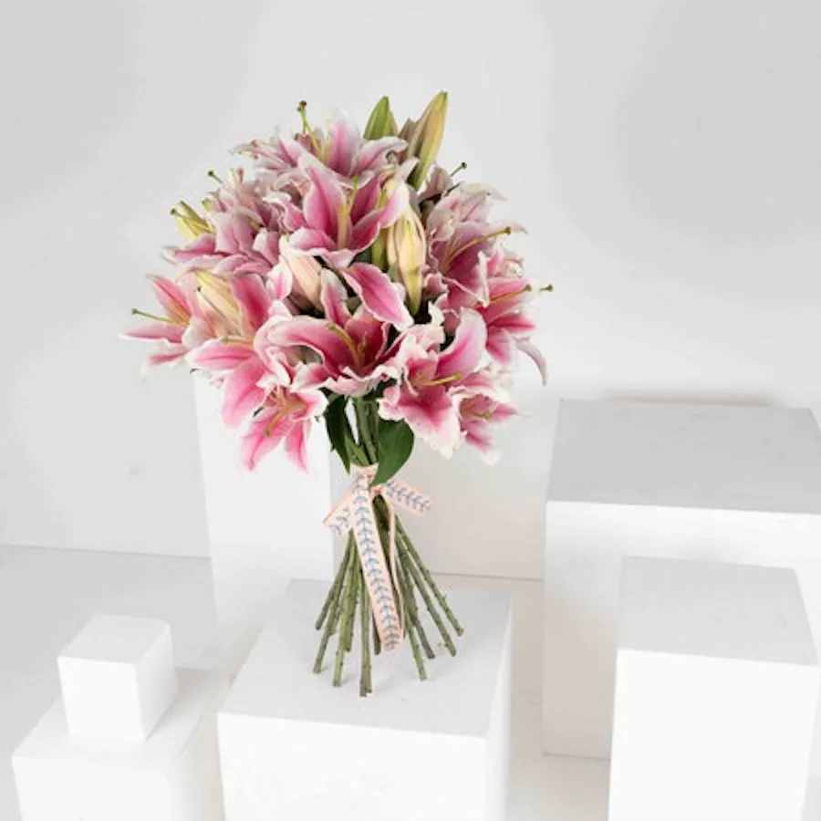 6 Pink Lilies 1