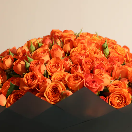 Orange Beauty | 100 Baby Rose Bouquet