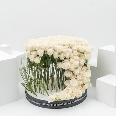 Fancy White | 150 Roses